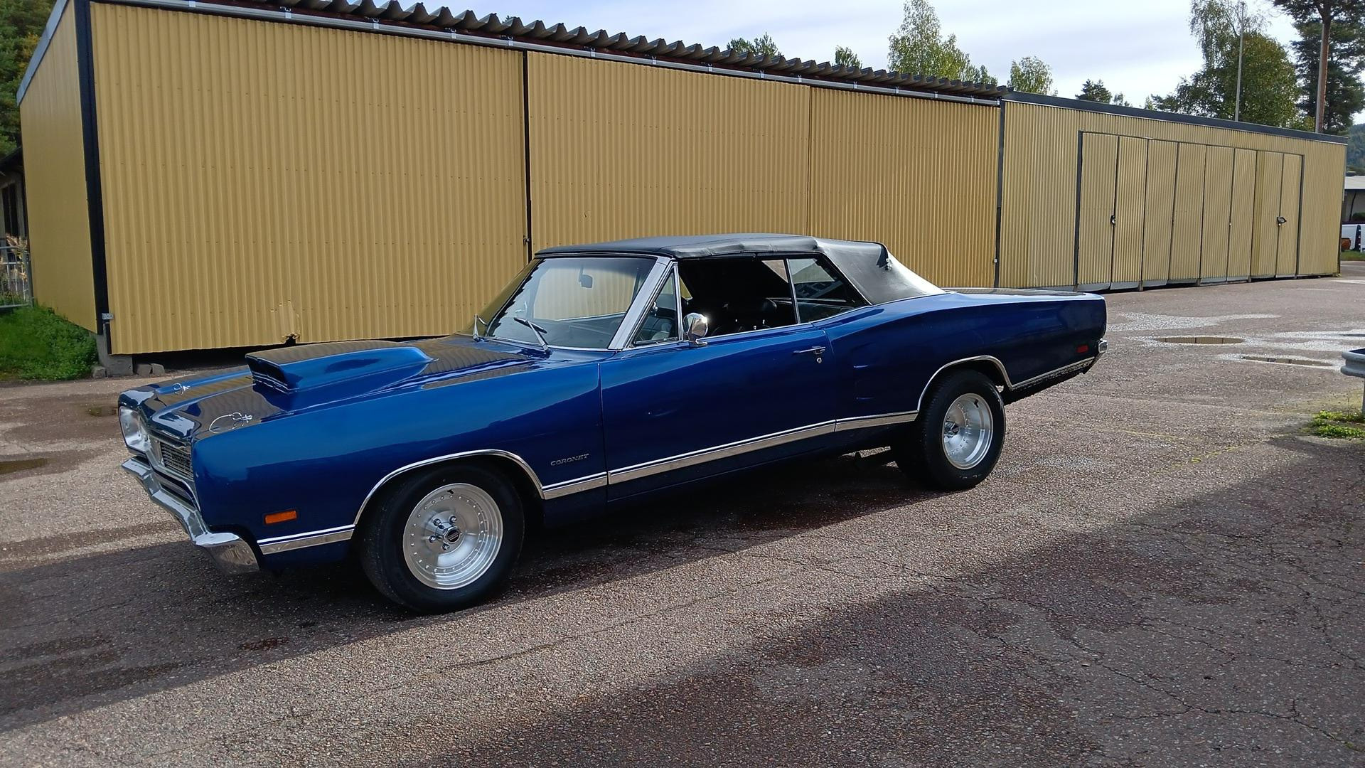 bild från marknaden